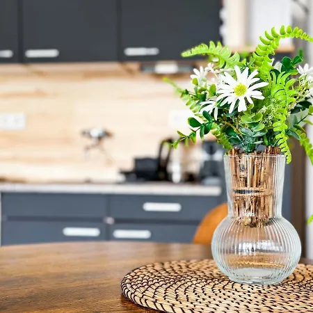 Modernes Apartment Naehe Chemnitz Wifi Netflix Neukirchen  Esterno foto